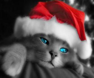 yapboz Kedi Noel kutlamaları için bir şapka ile